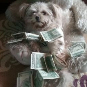 Meet your Posher, Elilta